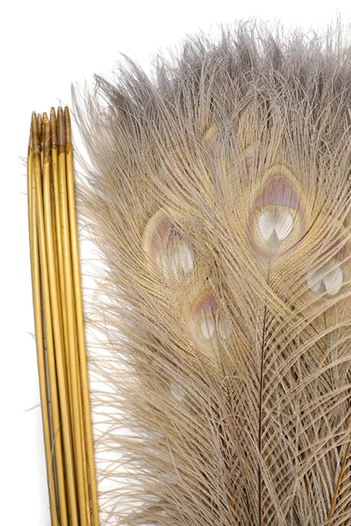 A close photo of dyed peacock tail feathers with colors of gold and pale purple ©Zucker Feather Products