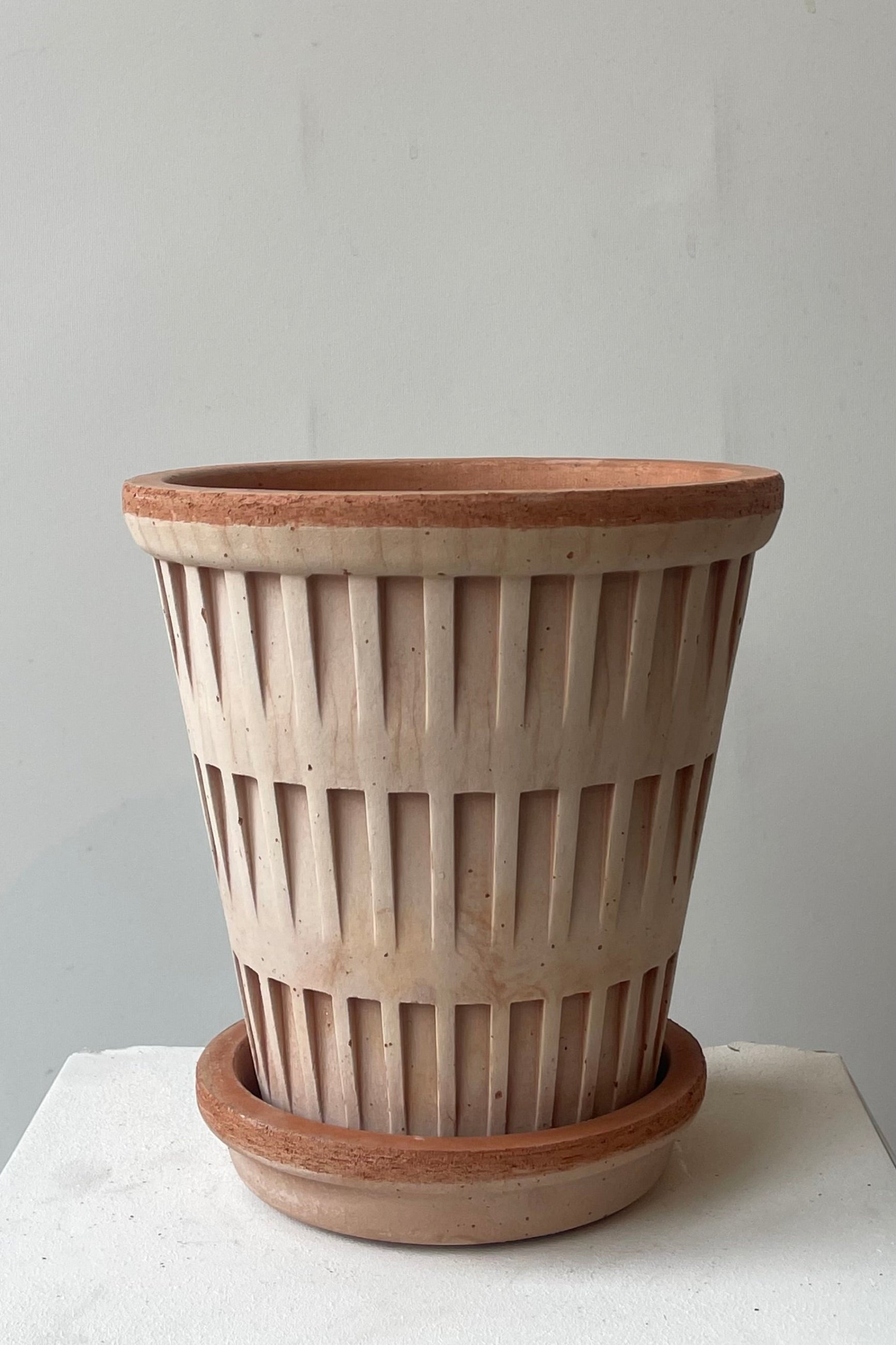 A patterned clay pot and saucer in front of a white wall ©Sprout Home