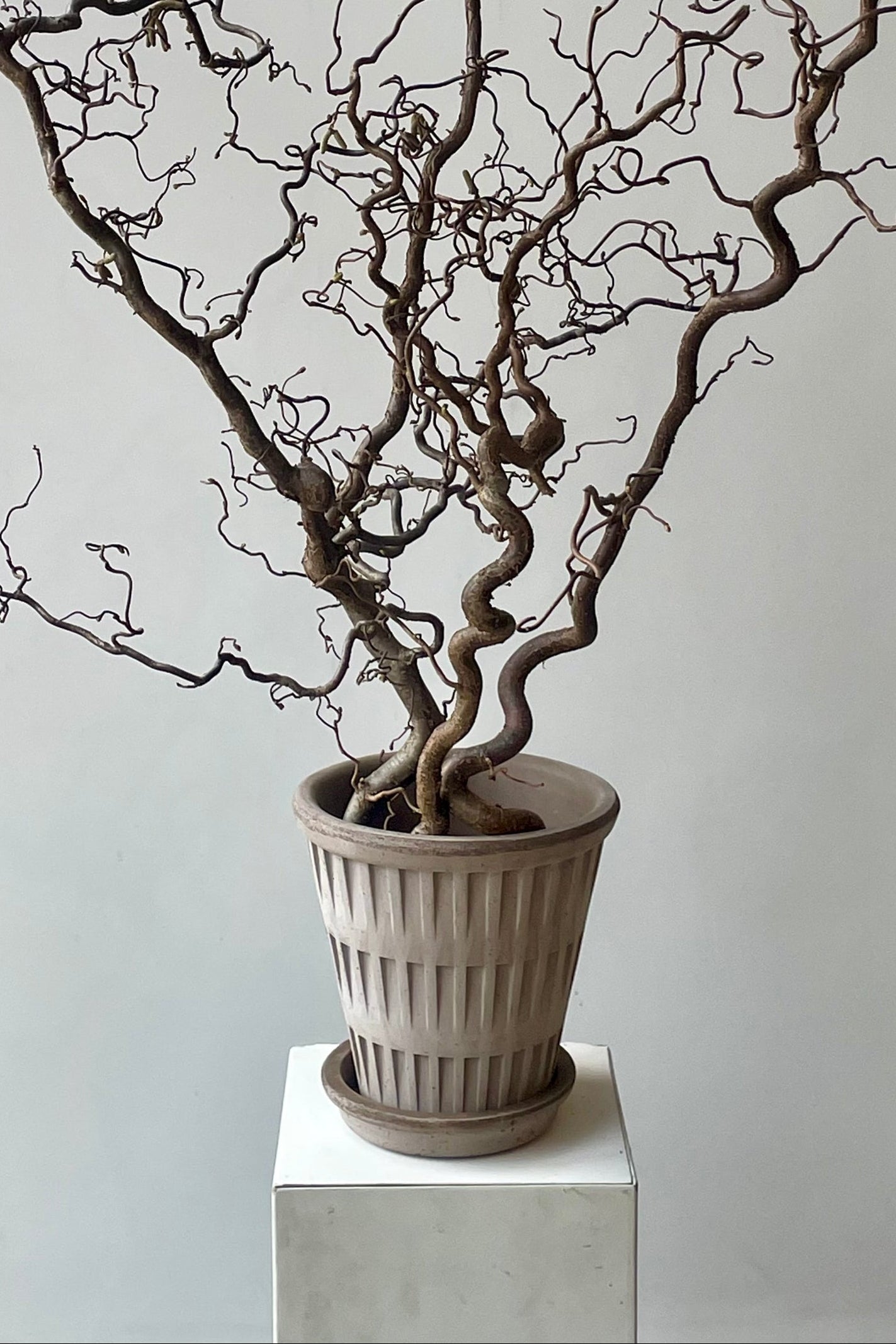 A gray clay planter with branches on a white table in a white room ©Sprout Home