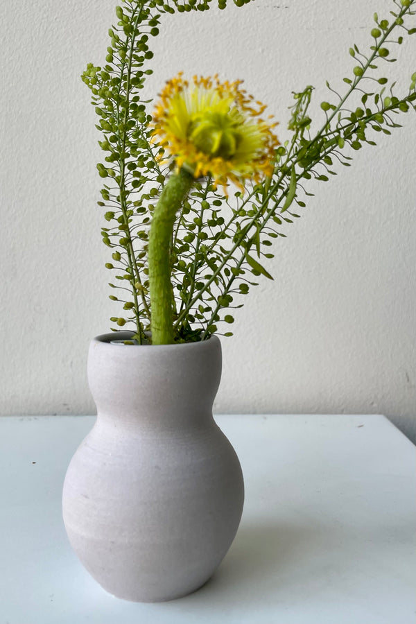 Lavender Petite Pastel urn vase with a yellow flower and greens against a white wall.