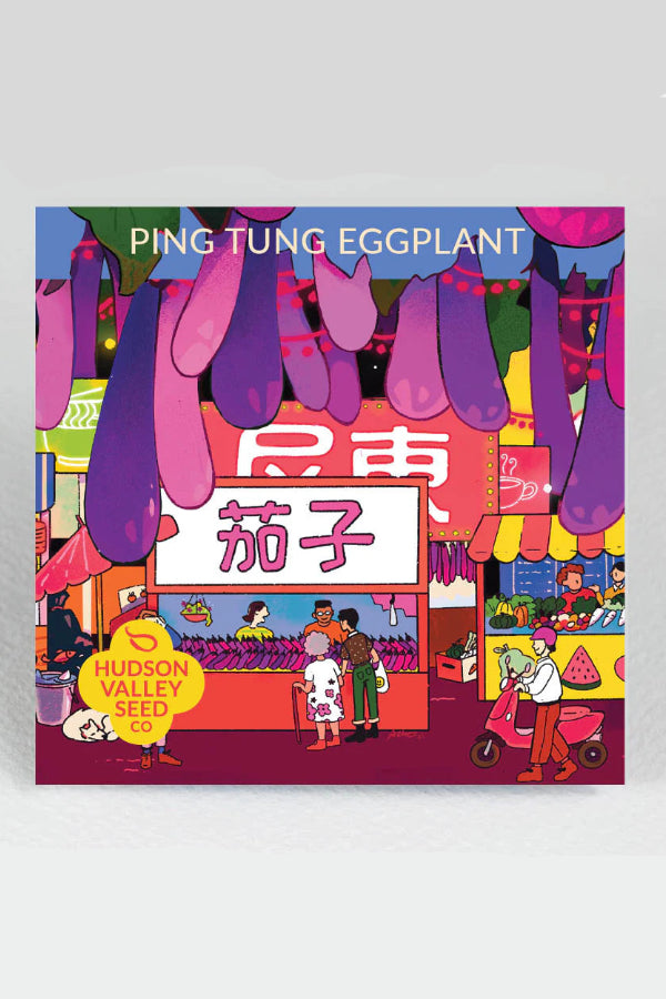 Illustration of a market stall selling eggplants with colorful design elements. ©Hudson Valley Seed Co.
