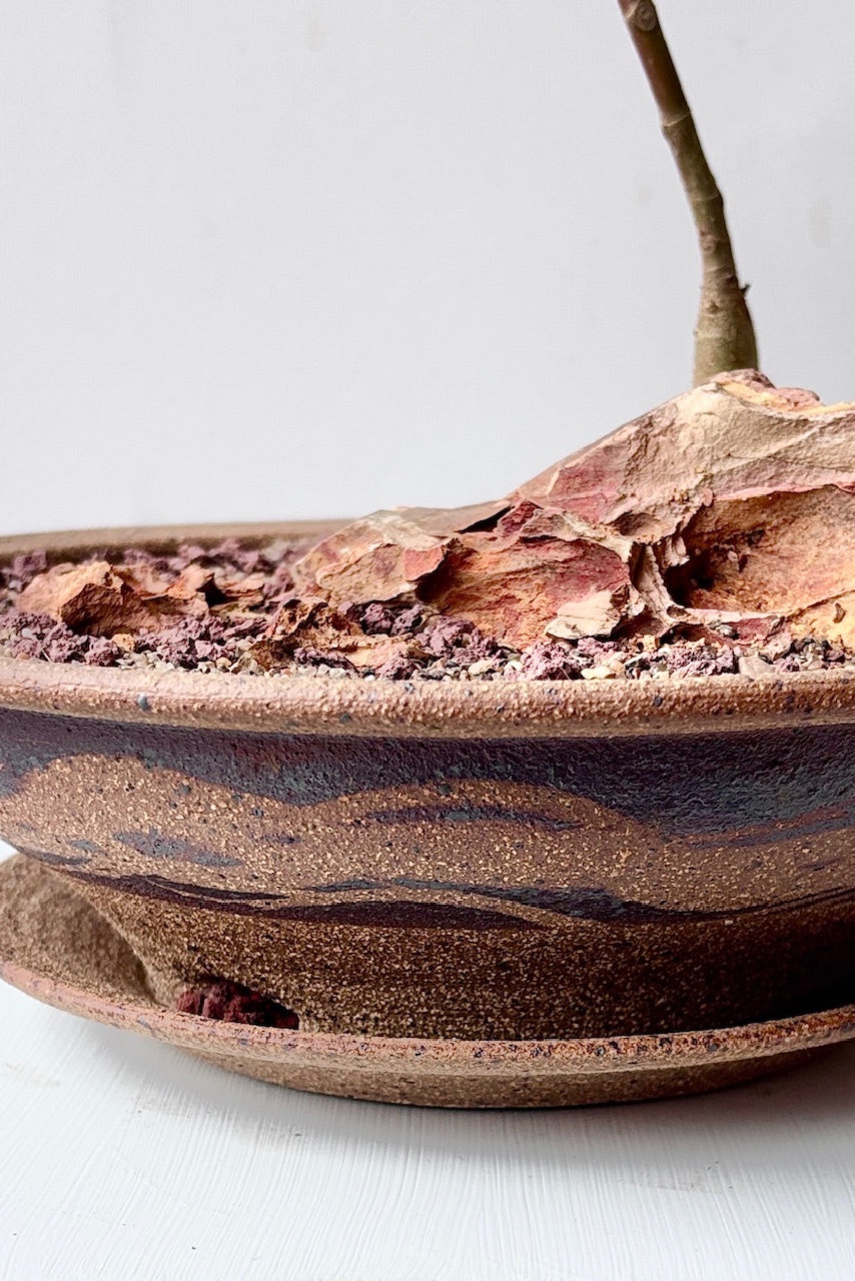 Detail of small unglazed low ceramic bowl with textrured design against a white surface ©Sprout Home 