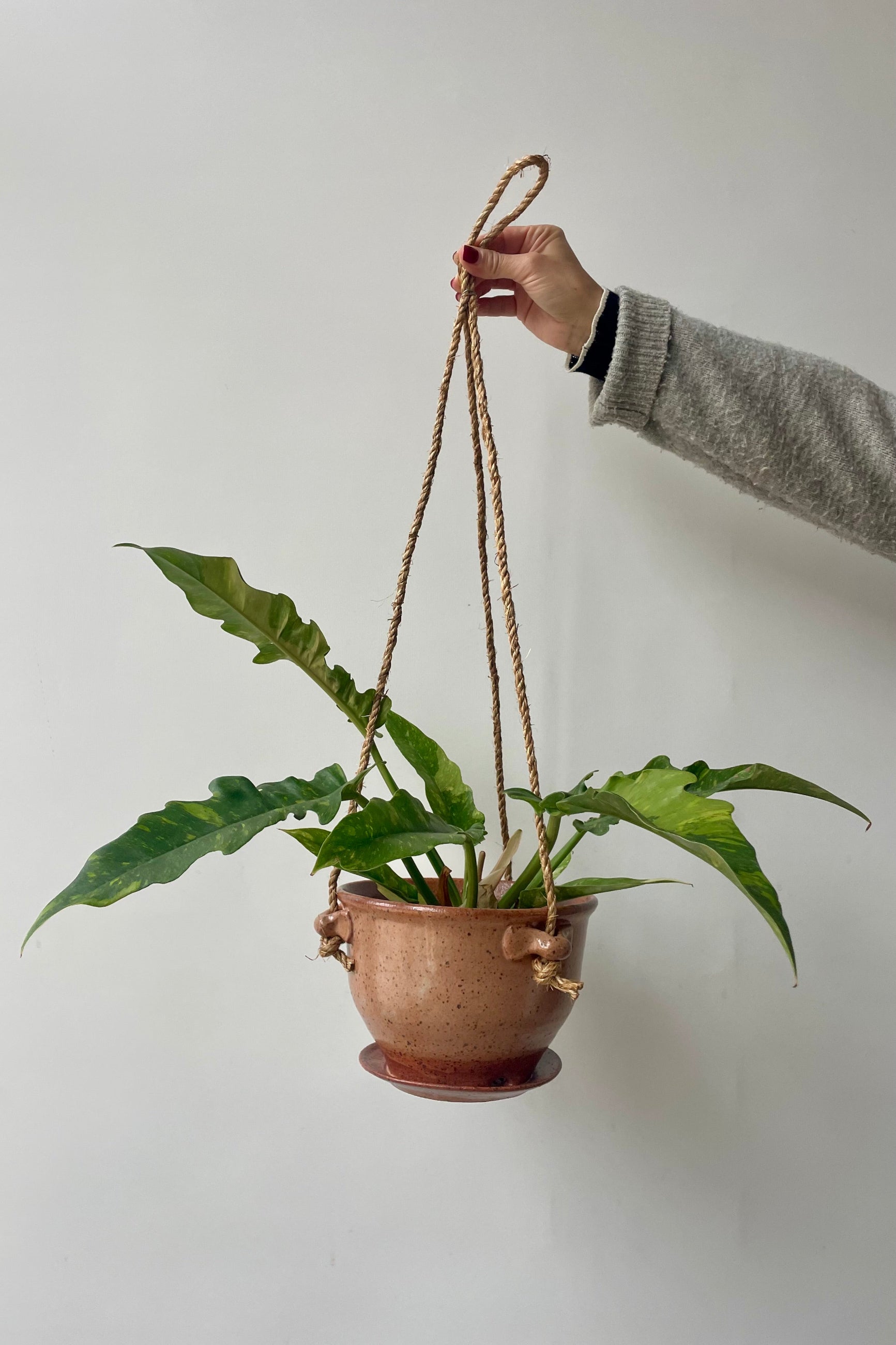 A tan speckled planter with a jute cord and green plant hangs in front of a white wall ©Sprout Home