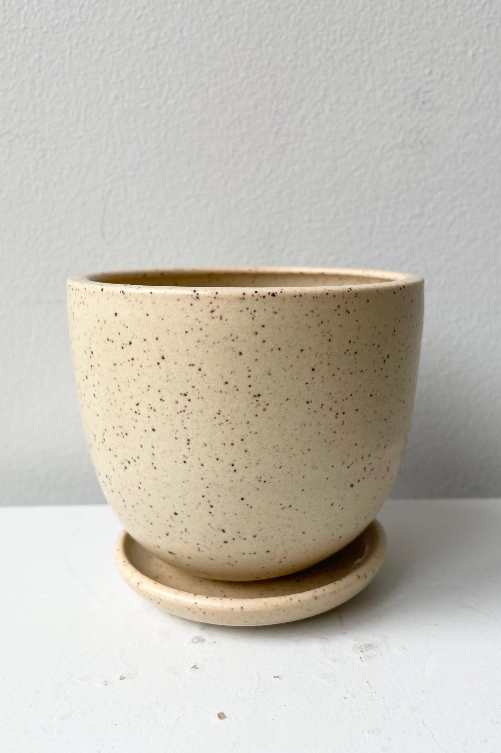 Small butter speckle tabletop planter and saucer against a white wall viewed from the side.  ©Sprout Home