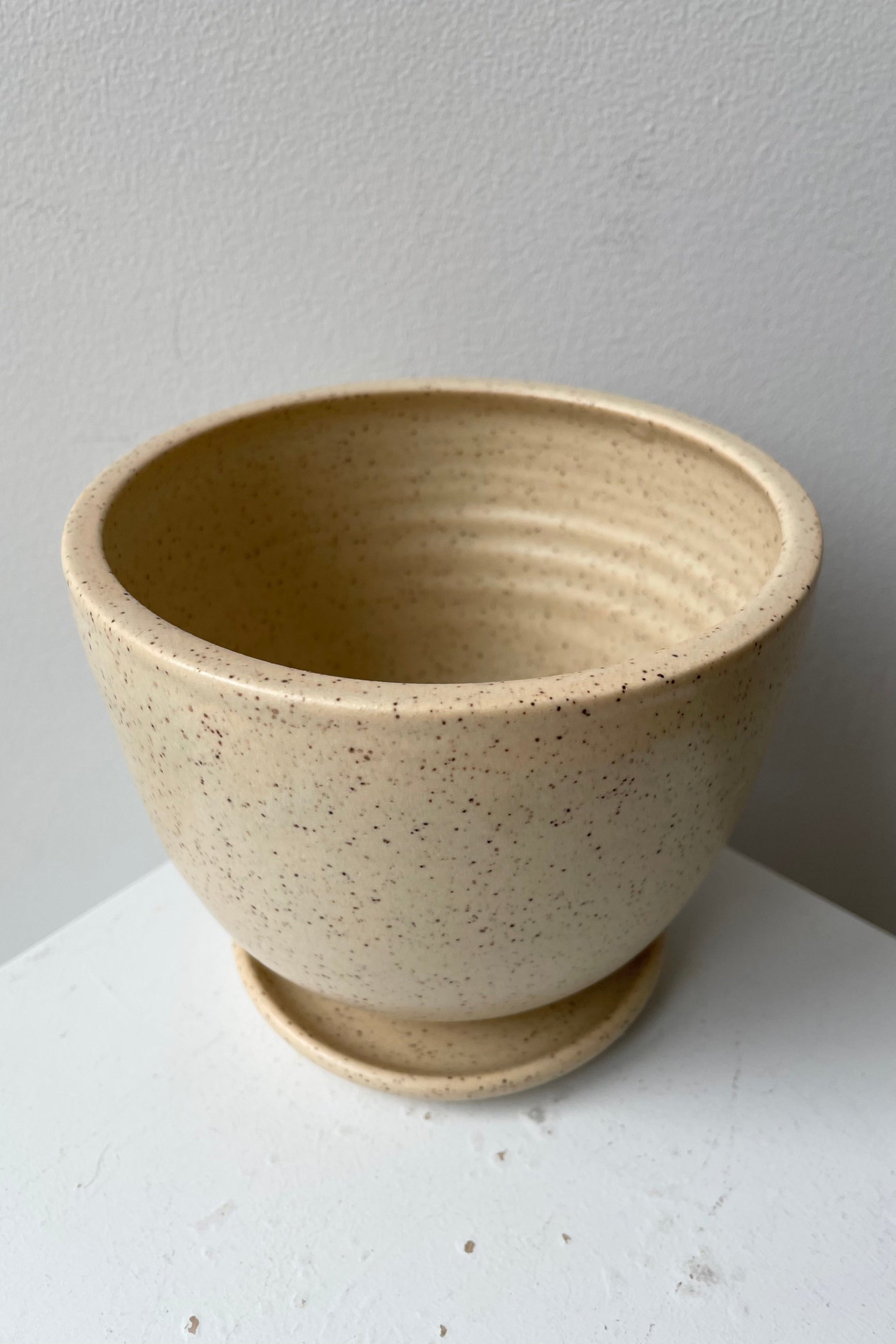 Medium size butter speckle tabletop planter and saucer shown from the side top.  ©Sprout Home