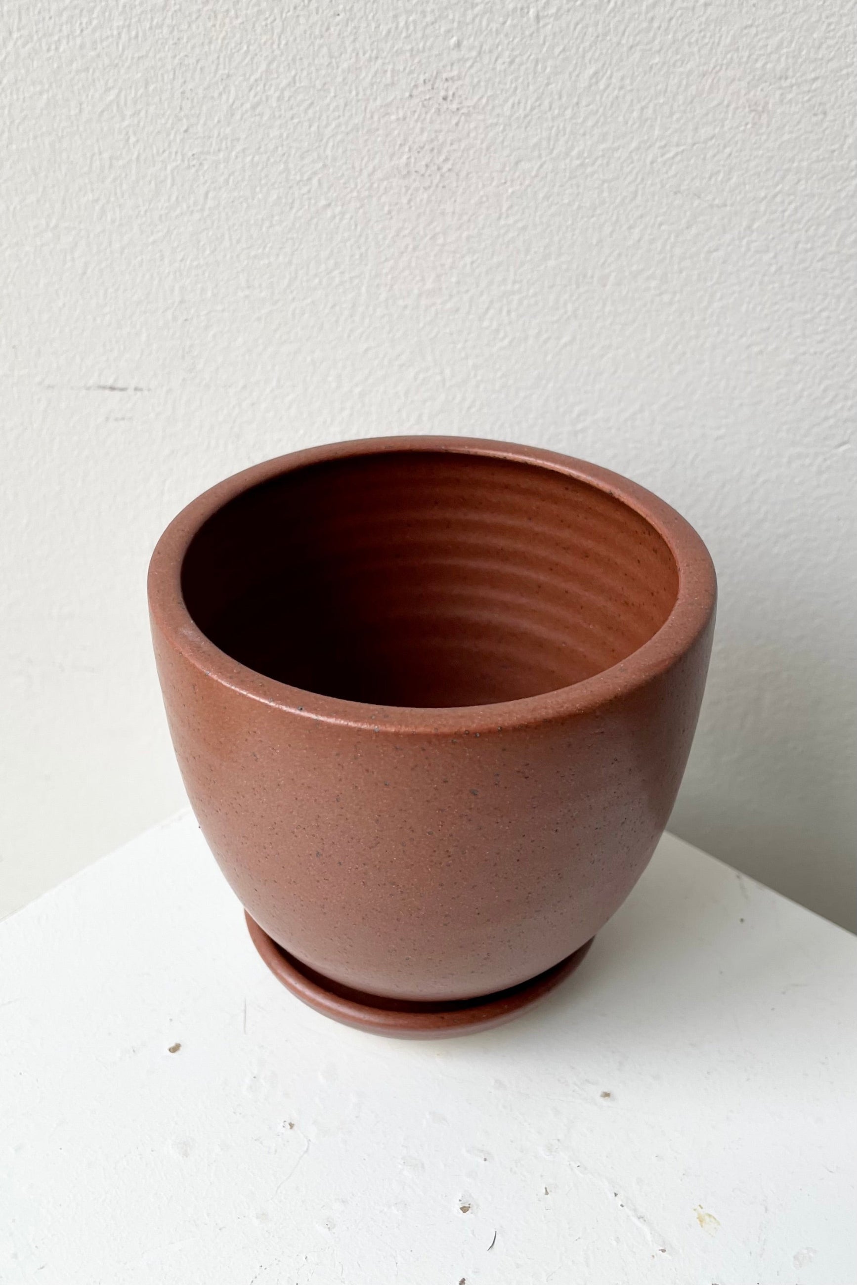 Chocolate Speckle small Tabletop Planter and saucer viewed from top side looking in.  ©Sprout Home