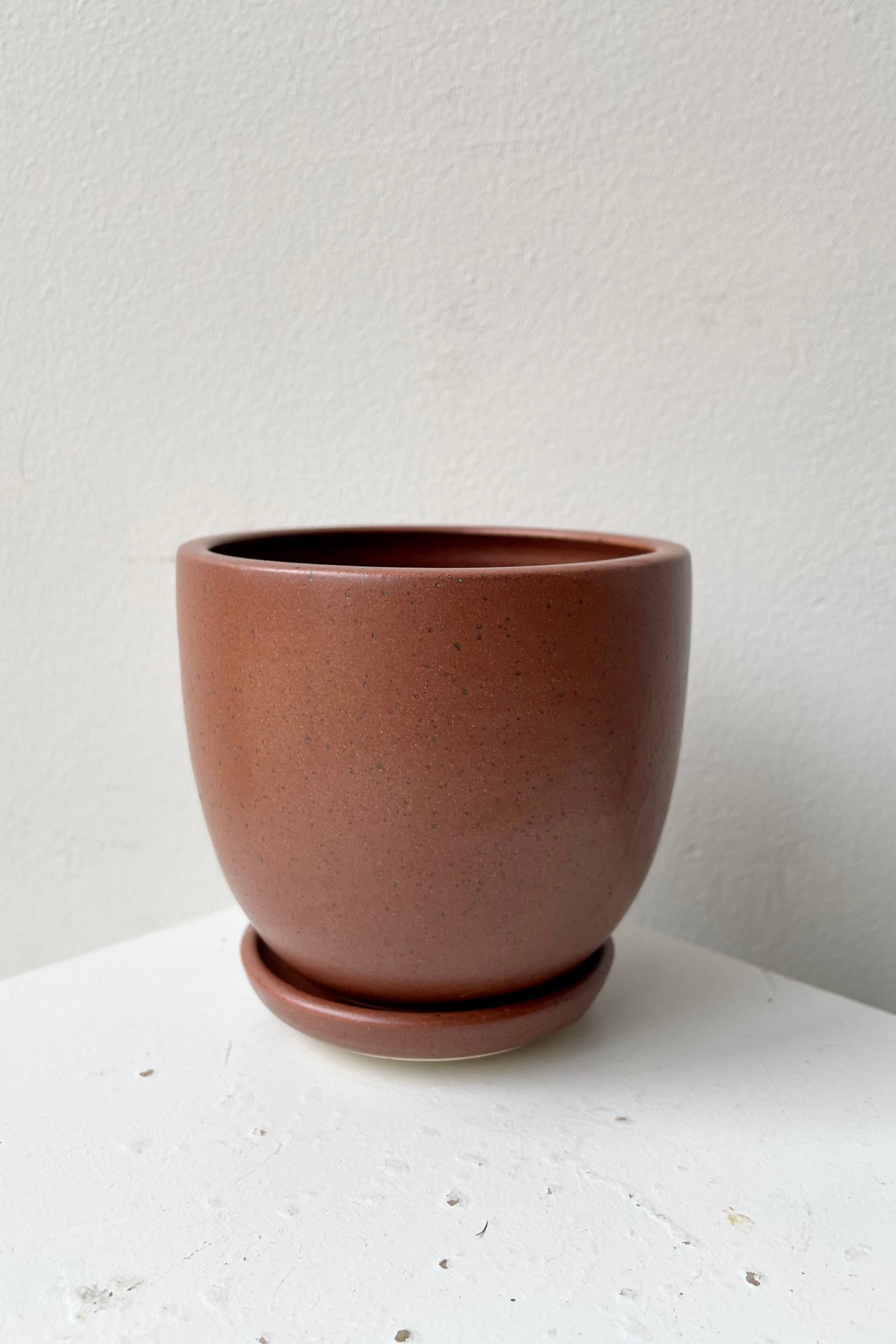 The Chocolate Speckle Tabletop Planter and Saucer against a white wall viewed from the side.  ©Sprout Home