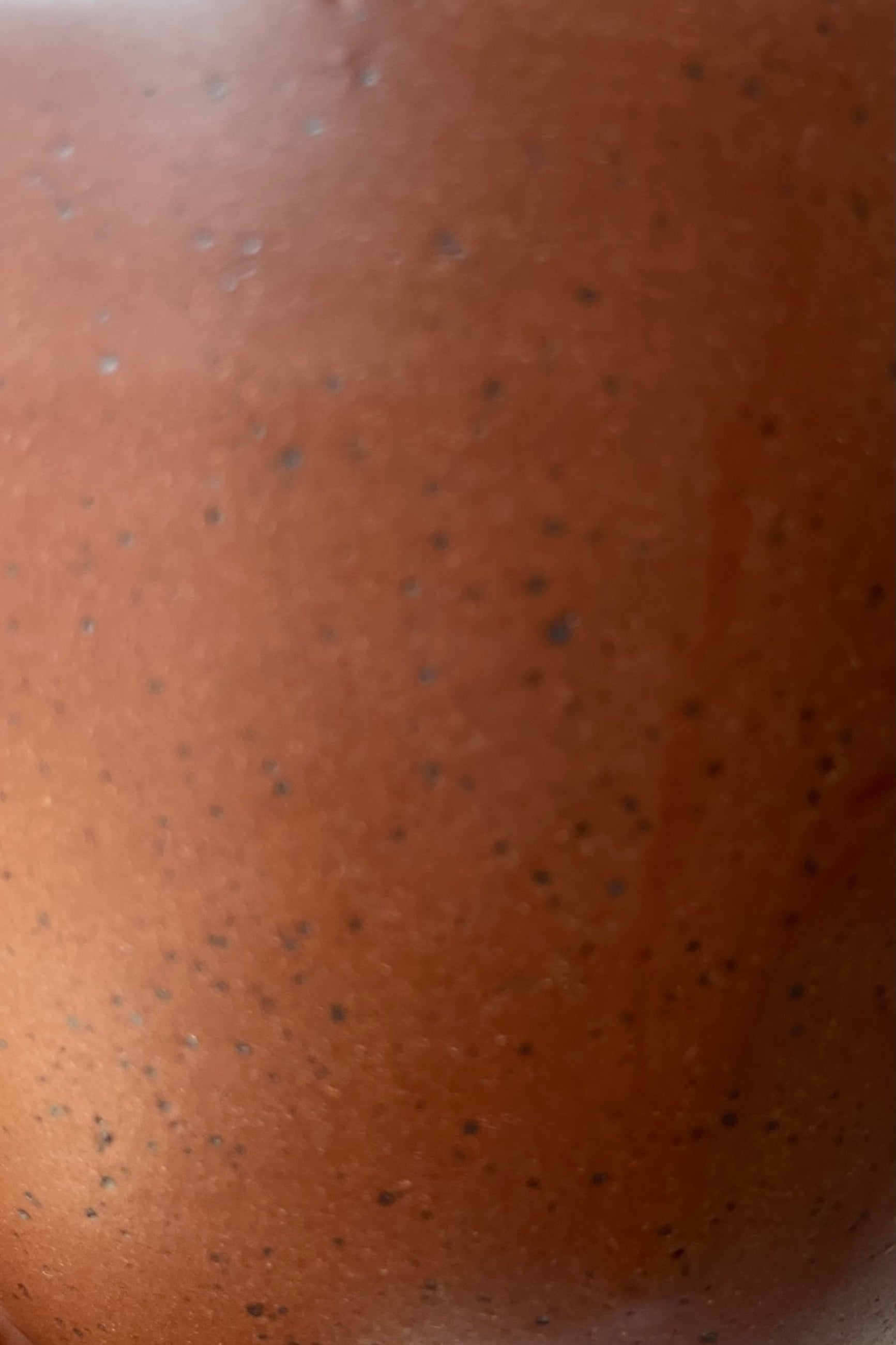 up close picture of the Chocolate Speckle finish on the Tabletop planter and saucer. ©Sprout Home