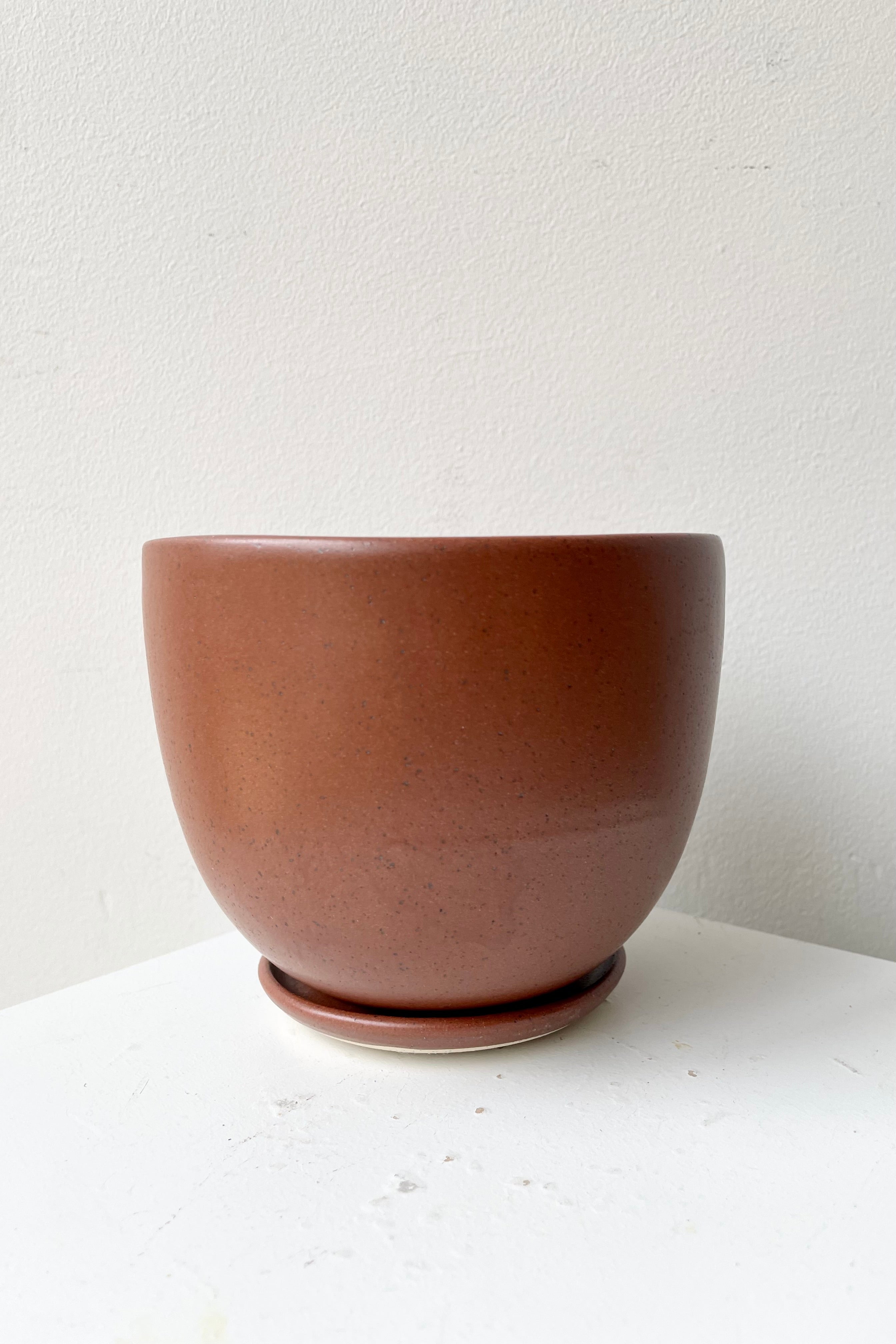 The Chocolate Speckle tabletop planter and saucer in a medium size against a white wall. 