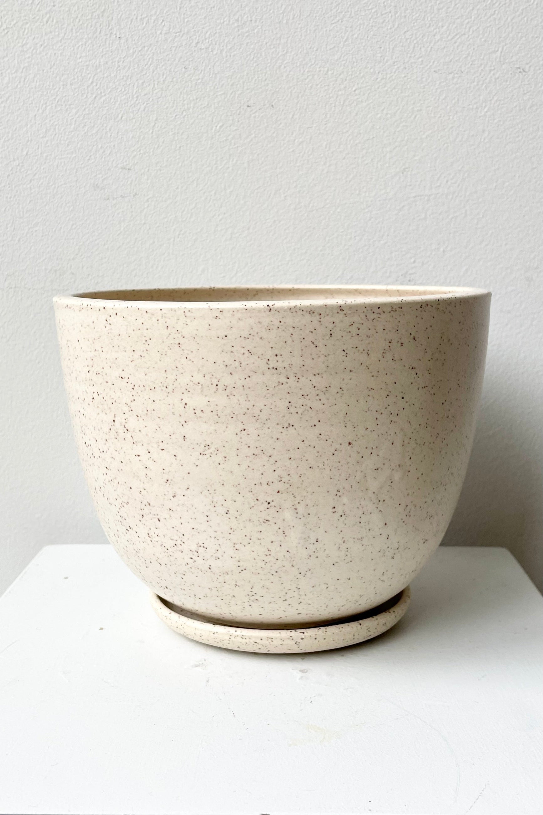 The Large Cream Speckle tabletop planter and saucer against a white wall.  ©Sprout Home 