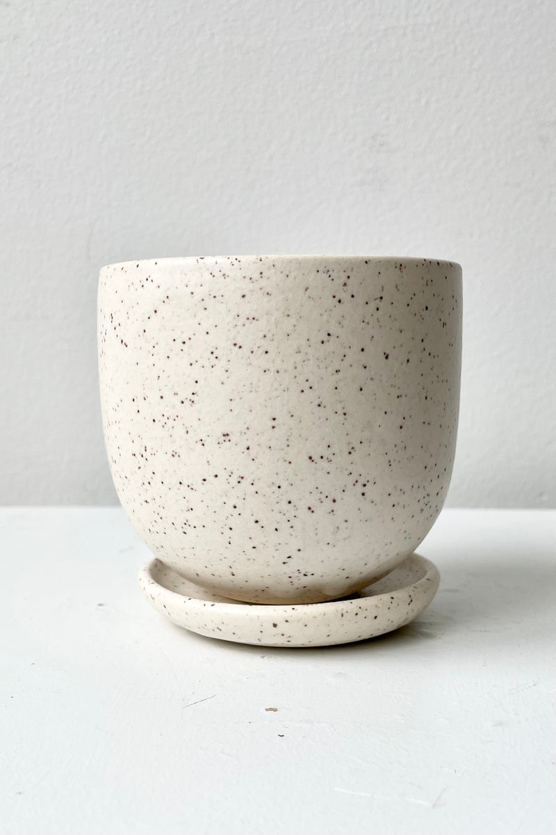 The Cream Speckle Tabletop planter and saucer shown from the side against a white wall. 