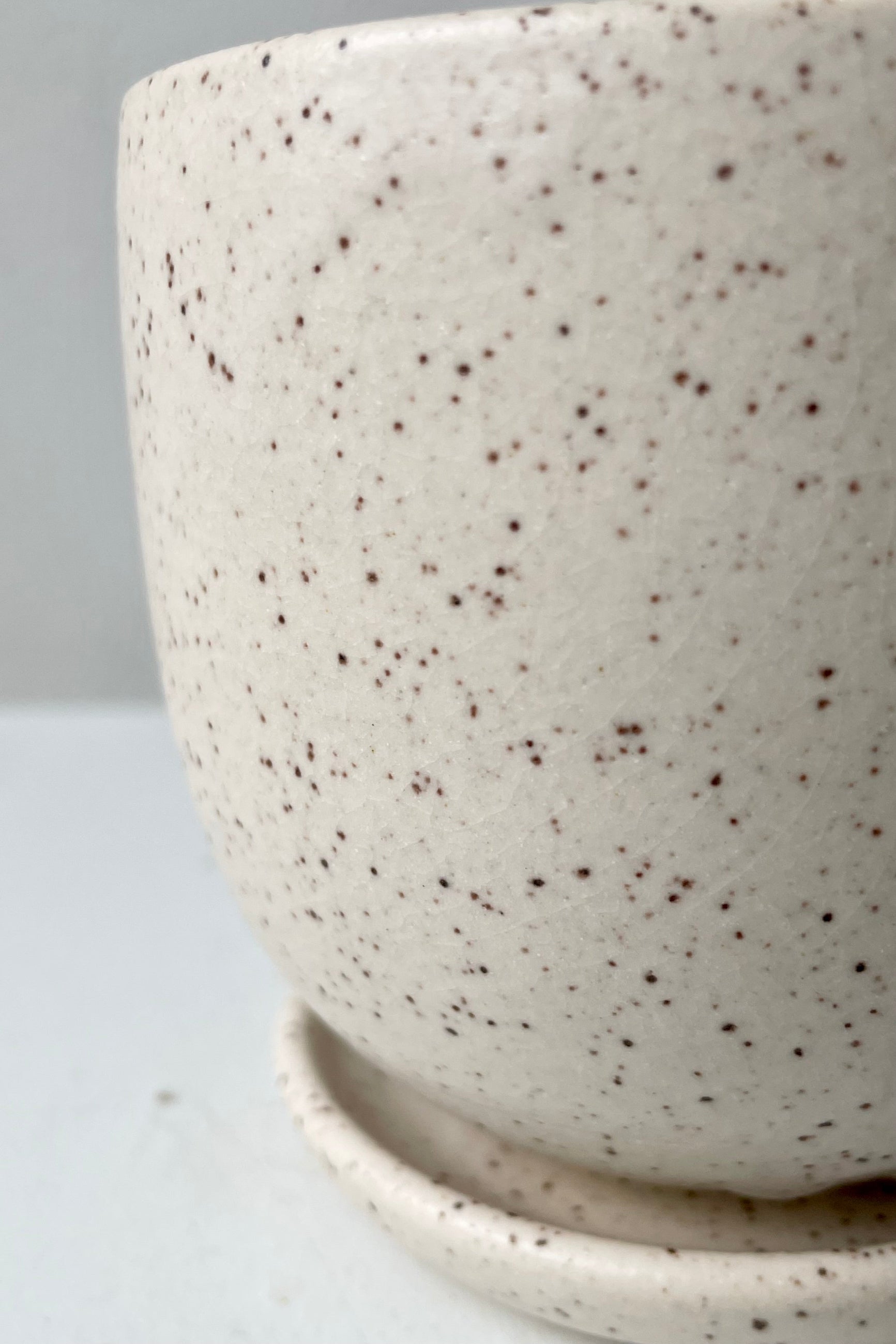 Detail of the Cream Speckle finish on a Tabletop planter. ©Sprout Home