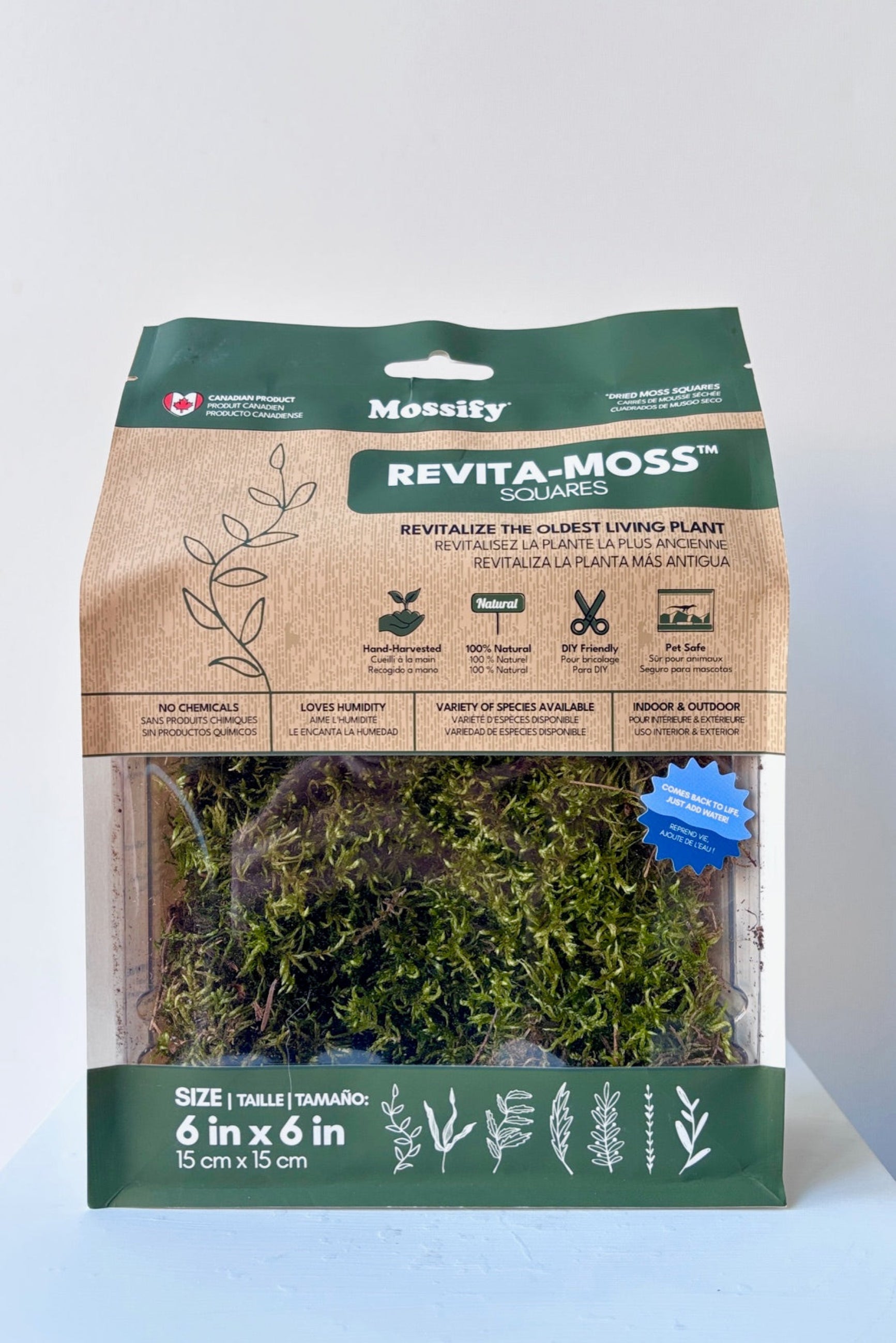 Front of packaging for feather moss by Revita-Moss in a 6in x 6in sqaure against a white wall ©Sprout Home