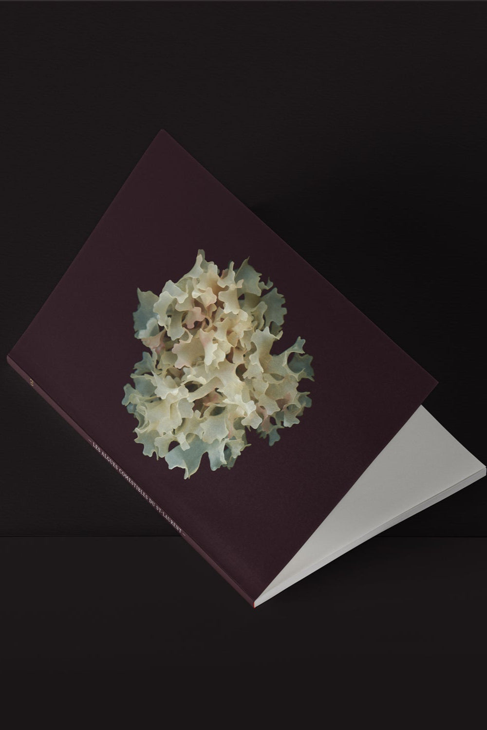 La Blanche mini notebook sitting on a black background ©Raoul & Simone