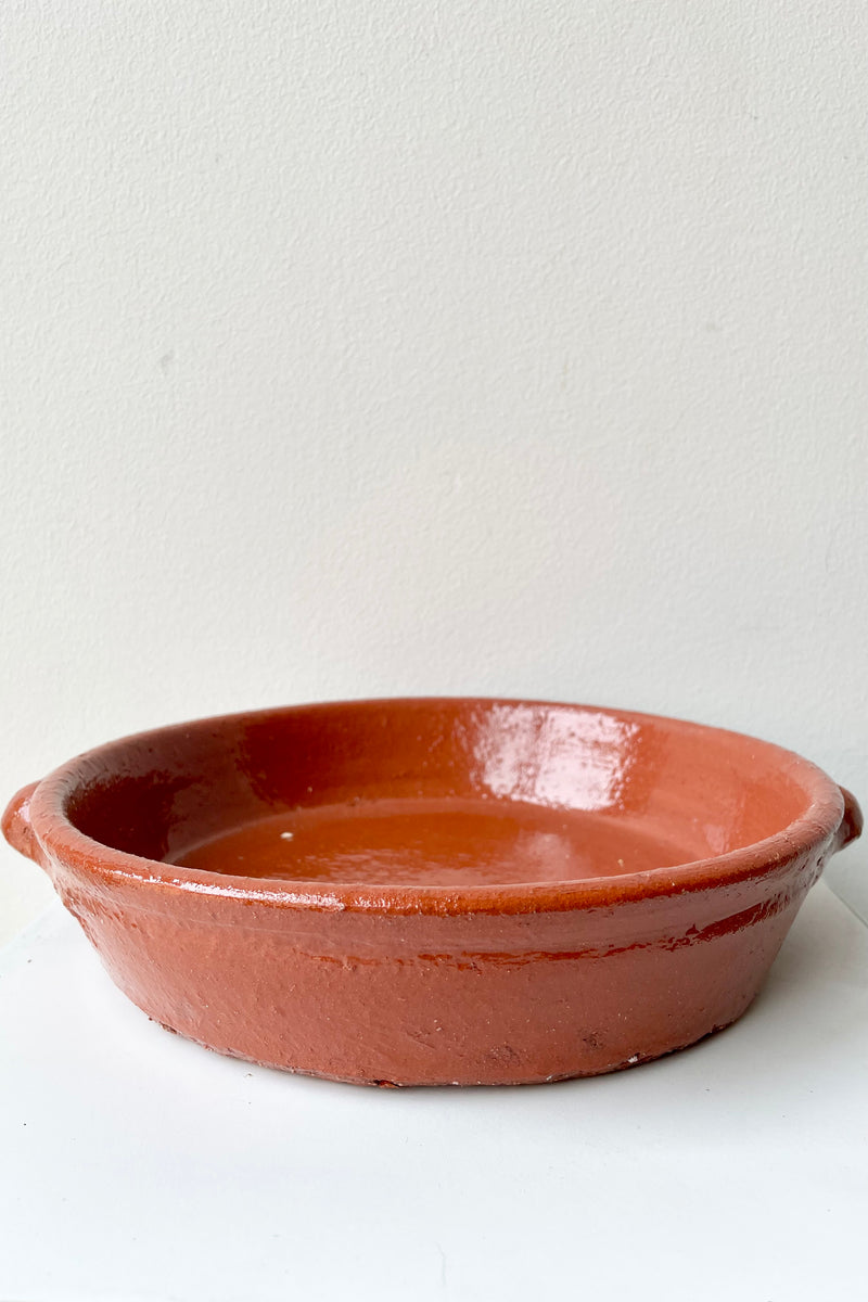 Large Terra cotta roasting dish viewed from the side.