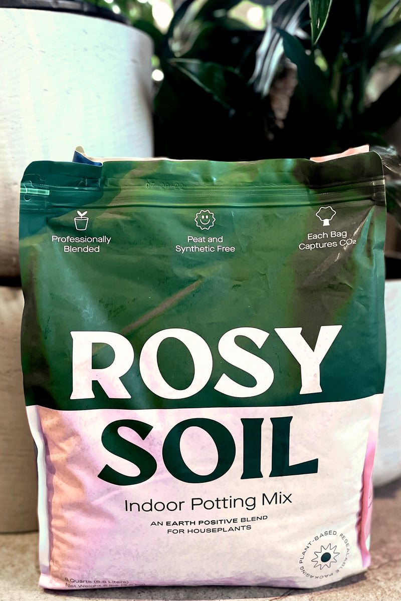 A close-up view of the bag of Indoor Potting Mix 8 Quart Rosy Soil in front of houseplants