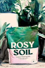 A frontal view of Indoor Potting Mix 8 Quart Rosy Soil surrounded by houseplants