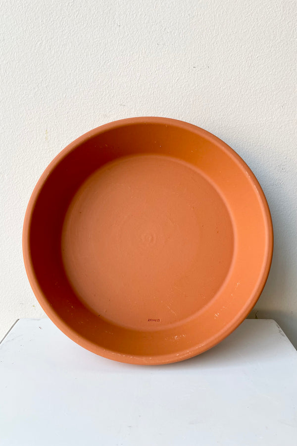 Clay saucer to fit an 8" terracotta pot standing on its side.