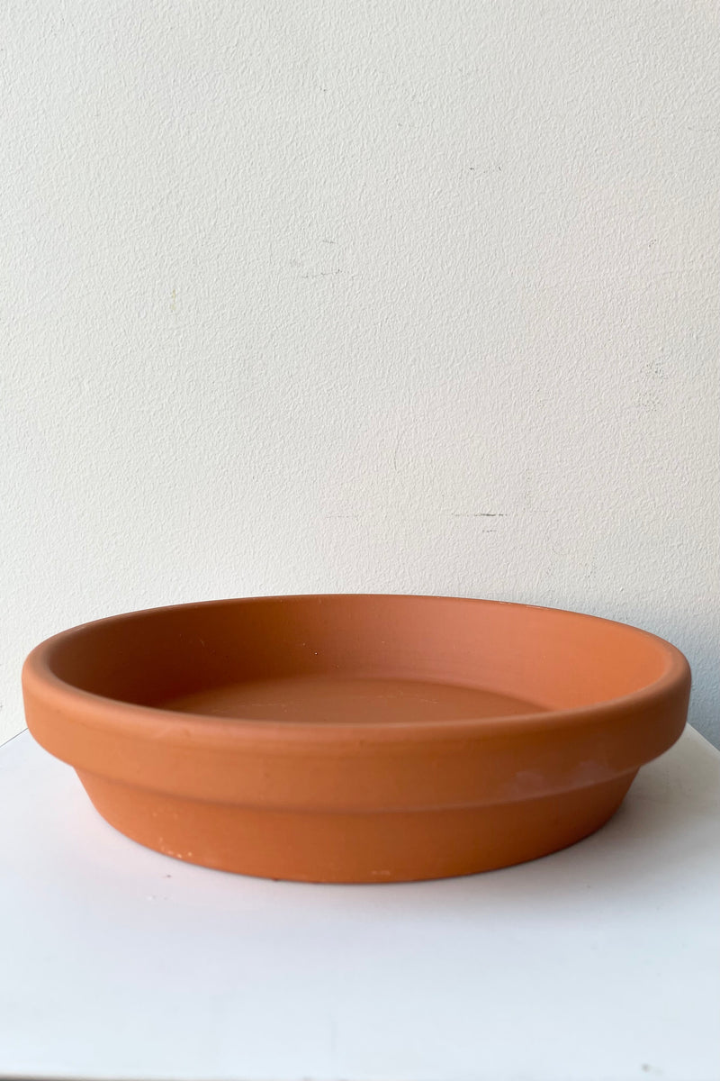 Clay saucer to fit an 8" terracotta pot viewed from the side.