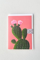The Stengun cactus on orange greeting card against a white wall at Sprout Home. 