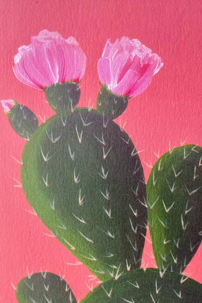 A close up of the fine detail of the Stengun cactus on orange card with the green spiky cactus with pink flowers. 