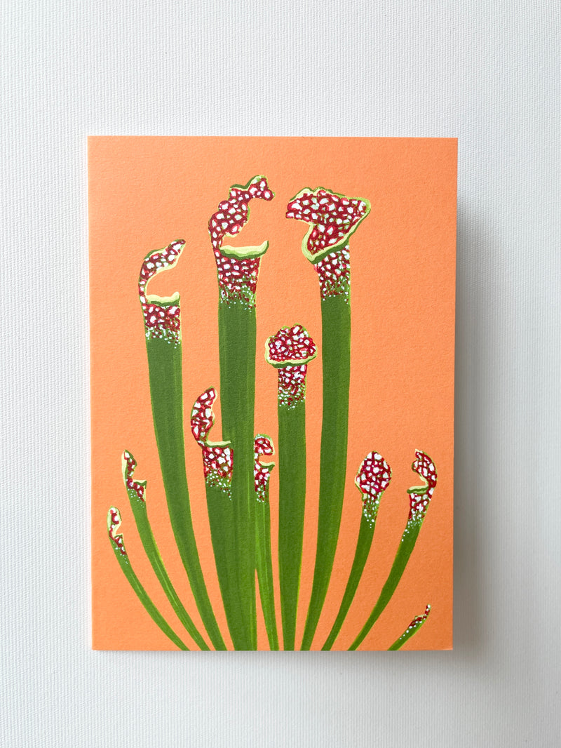 Pitcher Plant Greeting Card