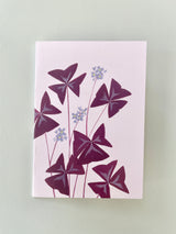 Oxalis greeting card by Stengun drawings at Sprout Home. 