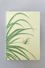 Stengun Spider Plant greeting card at Sprout Home. 
