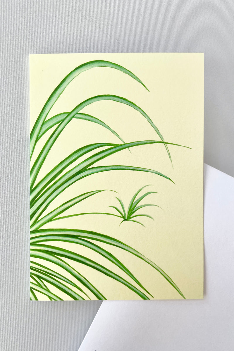 The Spider Plant Greeting card by Stengun drawings shown from the front decorative side.