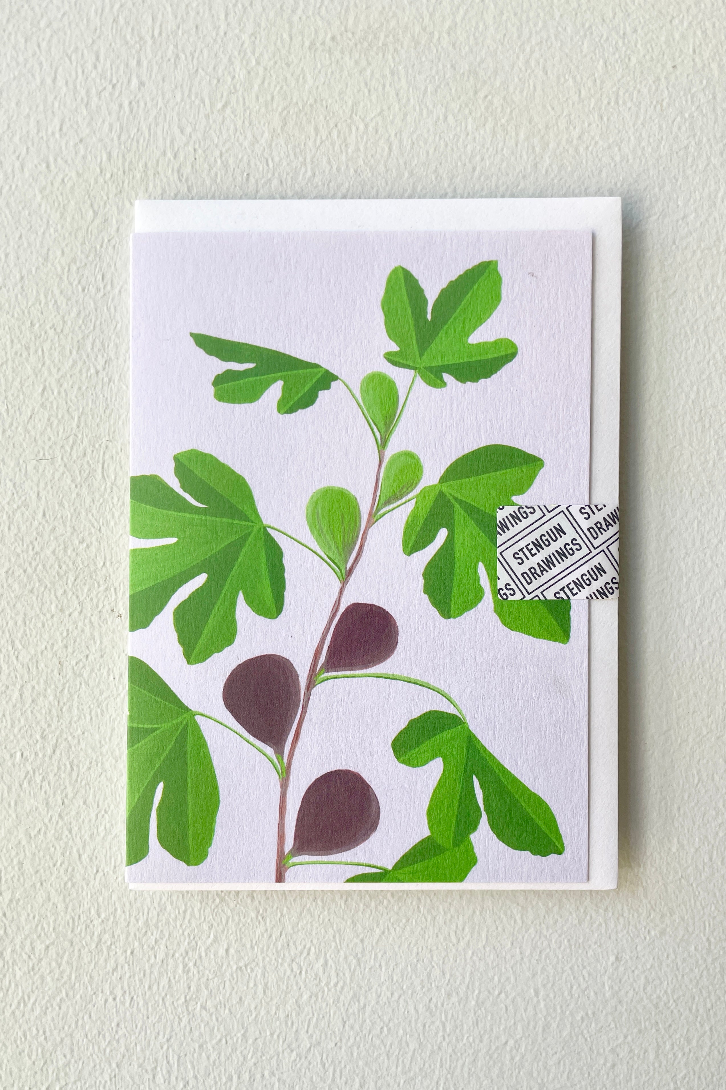 The Stengun Fig greeting card on a white wall at Sprout Home. 