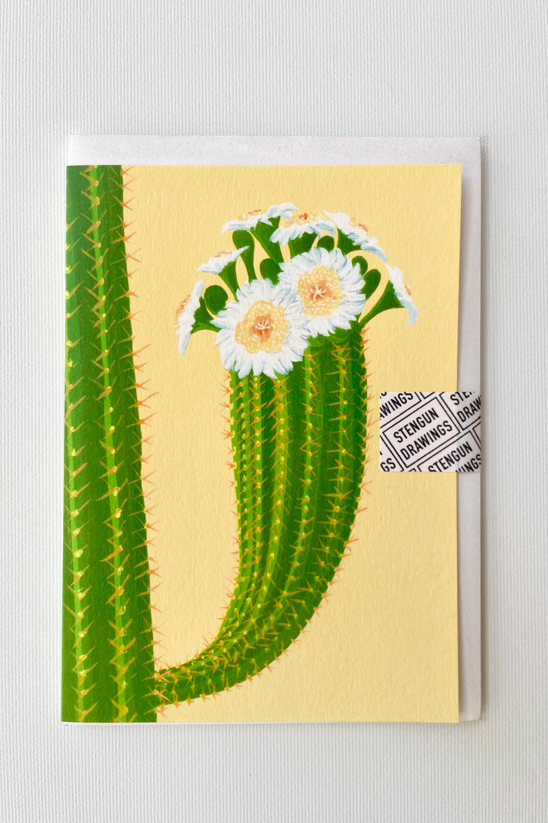 The Cactus on Yellow greeting card by Stengun drawing showing the front of the card. 