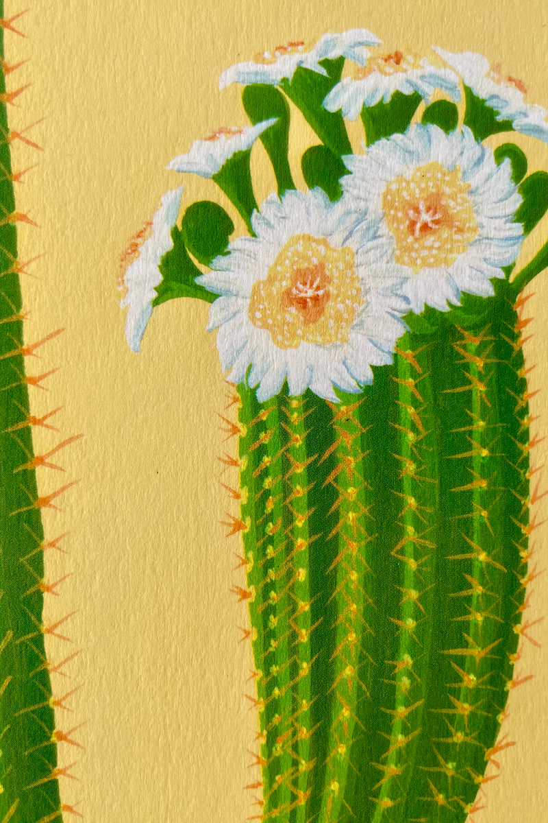 up close detail of the cactus on yellow greeting card by Stengun. Yellow background, green cactus with white and yellow flowers. 