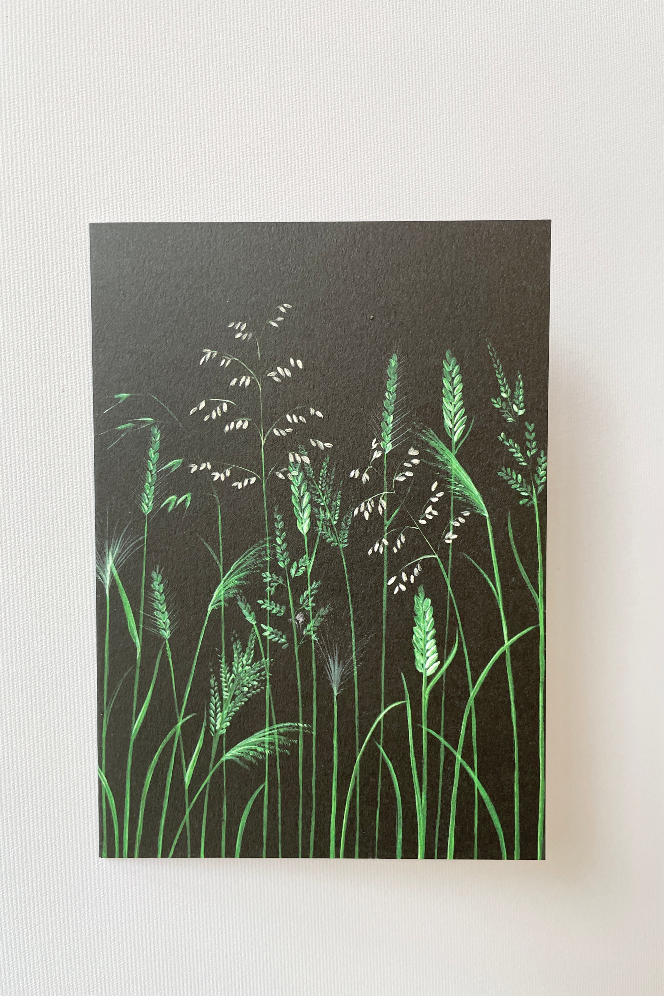 The Chelsea Grasses card by Stengun Drawing showing the front of the card with green grass blades on black on a white wall.