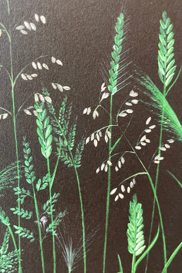 A close up of the Chelsea Grasses greeting card by Stengun Drawings 