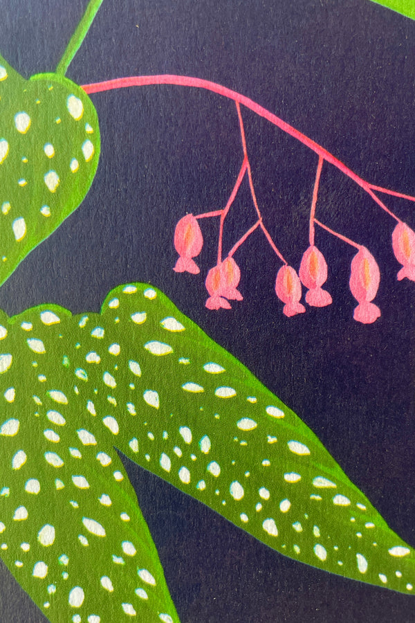 A detail of the pink flowers and green spotted leaves of the Stengun Begoinia Greeting card. 