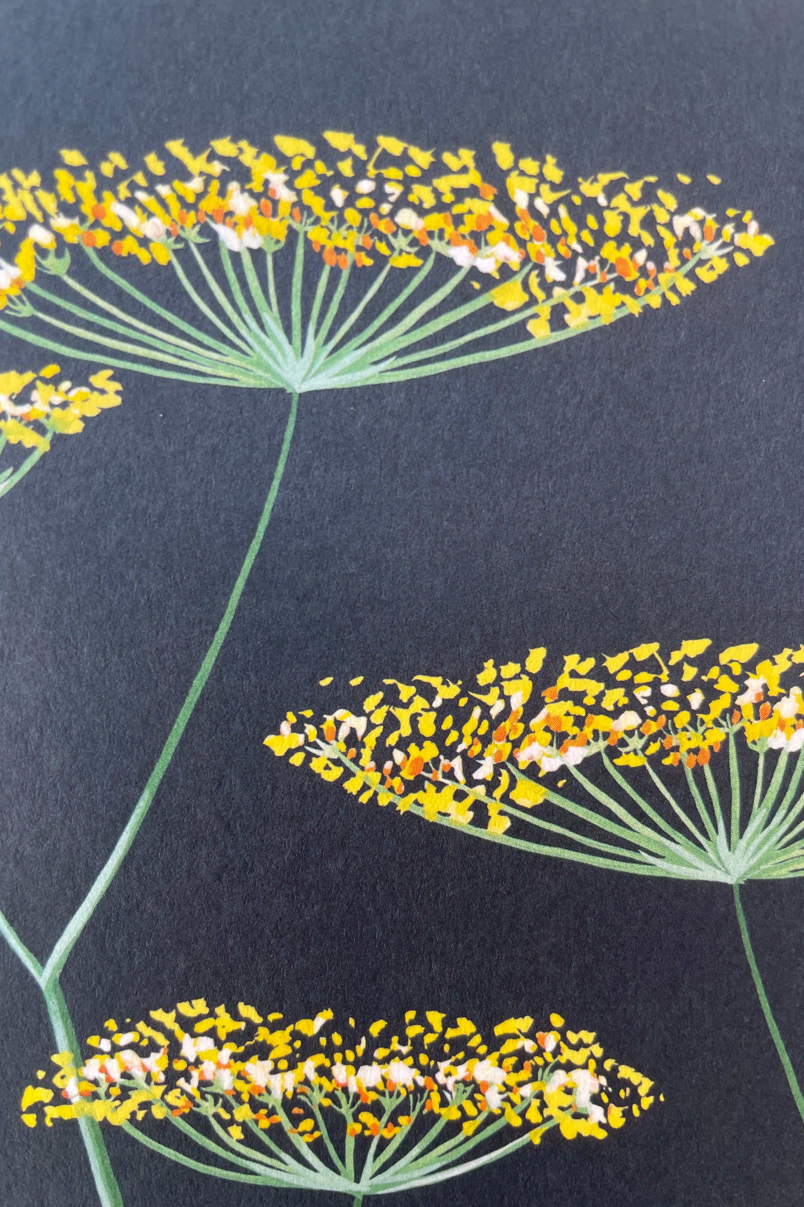 up close detail of the yellow flowers and green stems of the Fennel on Navy greeting card by Stengun. 