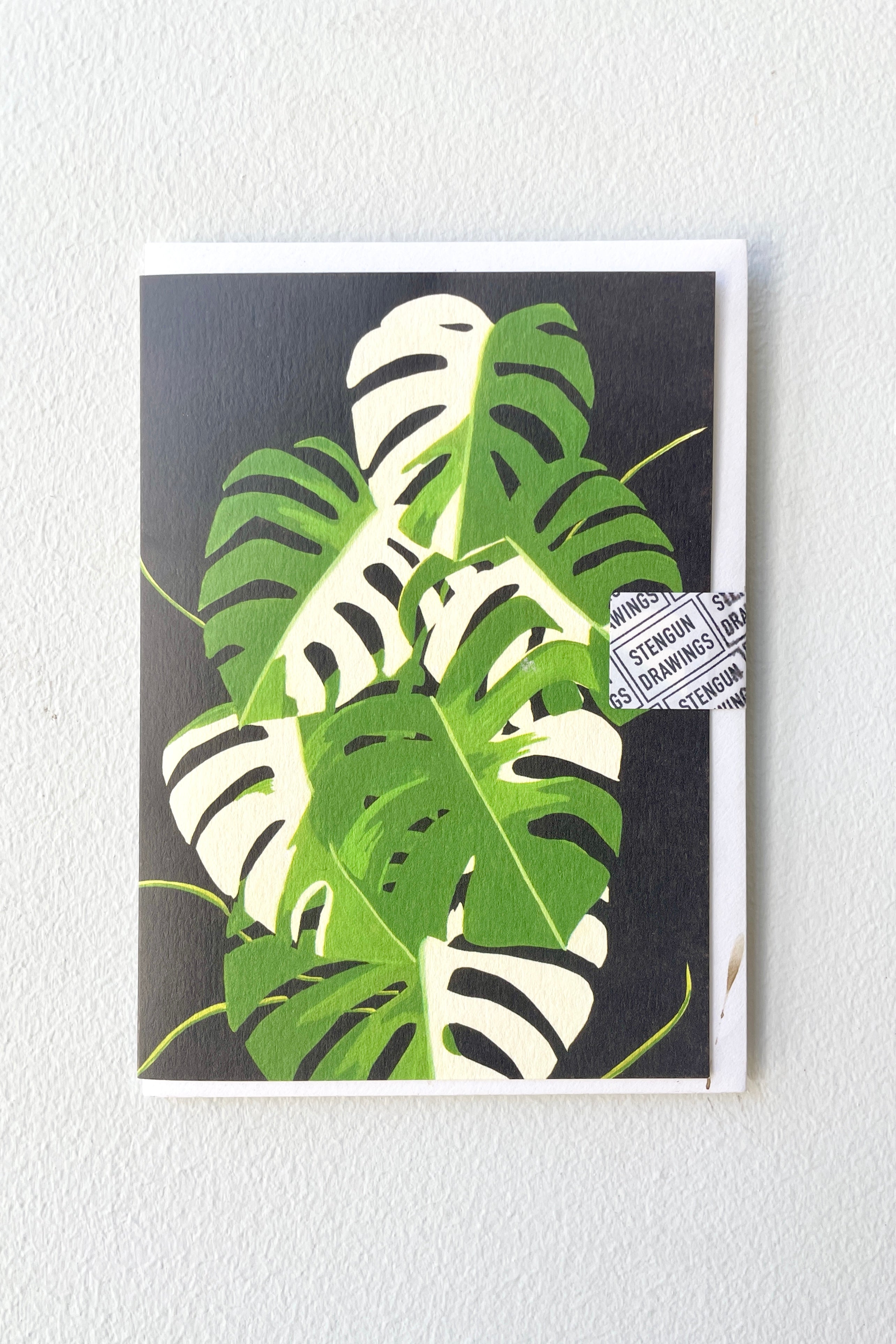 The Stengun Variegated Monstera card against a white wall. 