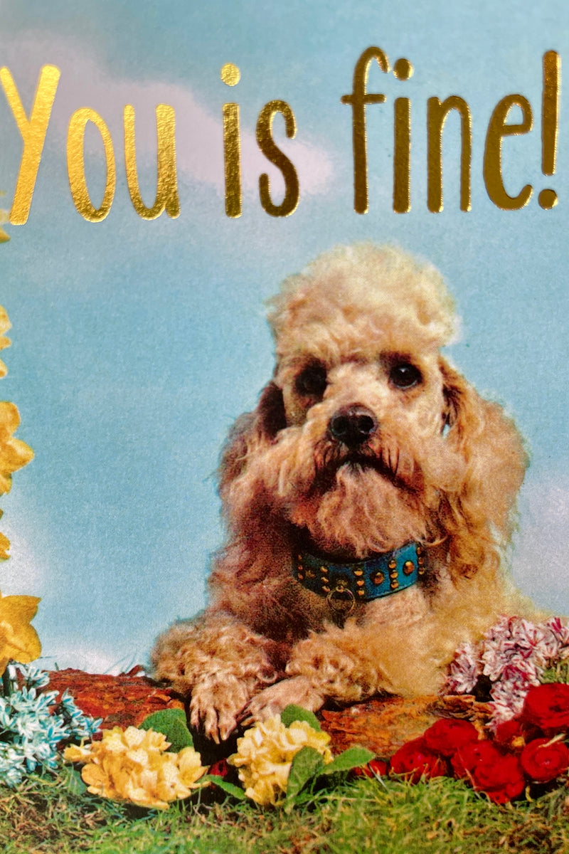 Detail of the dog and gold lettering on the You is fine Smitten Kitten card.