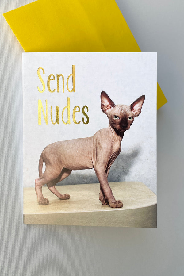 Send Nudes Card showing the front cover and envelope in the background. 