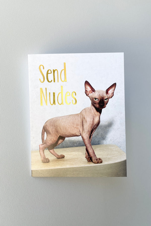 The front cover at the Send Nudes card showing the Egyptian cat and wording.