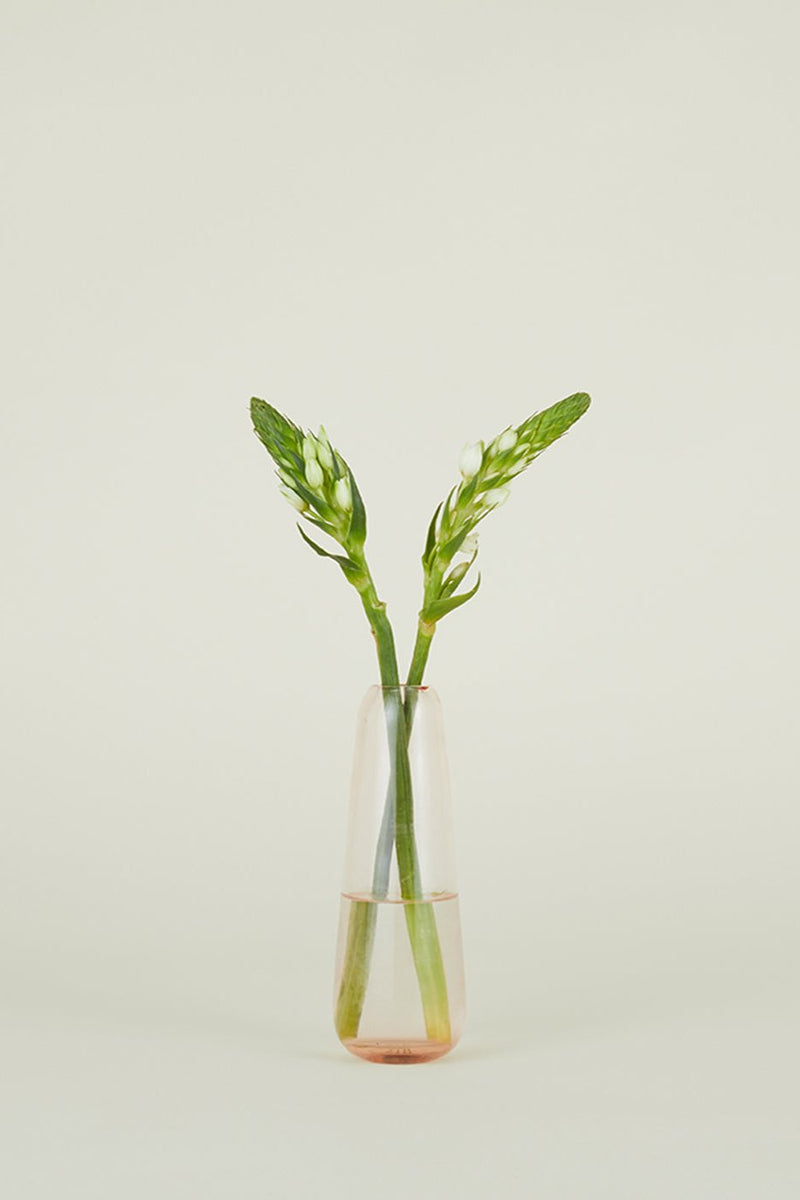 Blush Slim Drop Aurora vase with cut stems