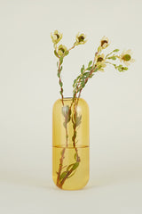 Hawkins New York Aurora Pill Vase in Amber with two branches inside with water shown from the side.