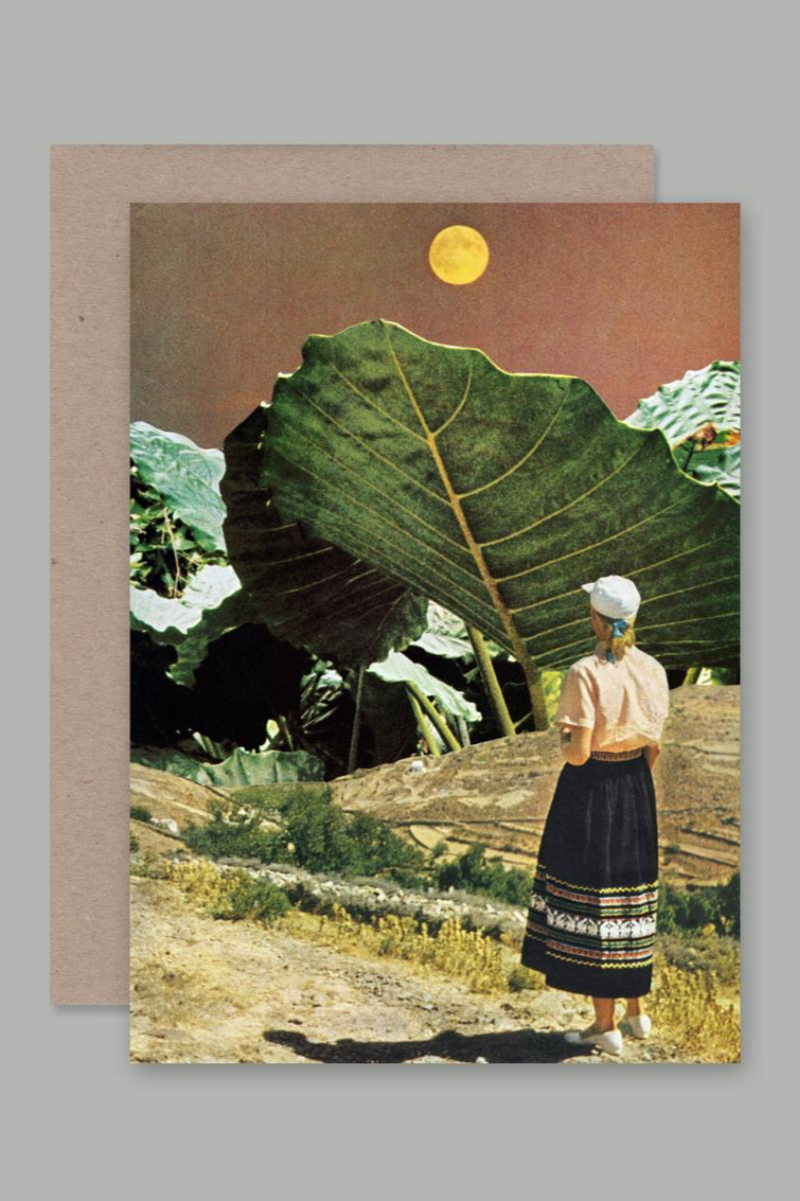 The AHD Photosynthesis card viewed from the front showing the large alocasia leaf with a woman staring at it. 