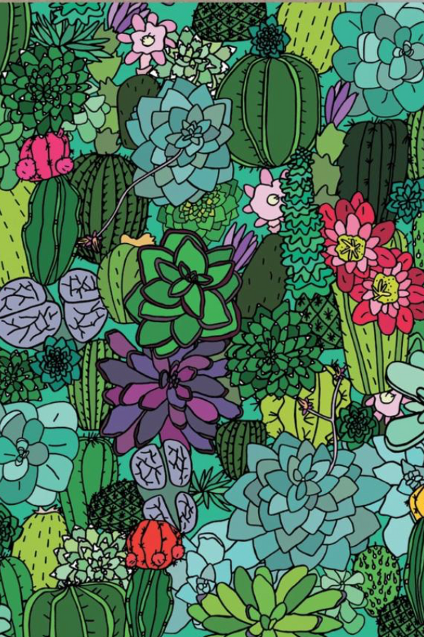 Detail of the graphically drawn Succulents card by AHD with various shades of green and blue succulents as wallpaper. 