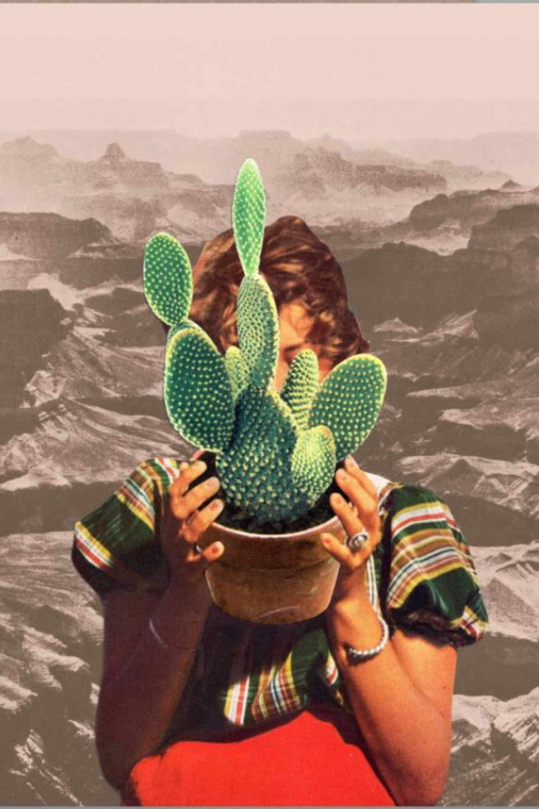 detail of the photo montage of a woman holding a cactus in front of her face on the Thirsty card