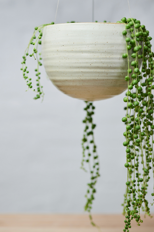 Spherical Hanging Planter
Creamy White Speckle
by Angus & Celeste  potted with a string of pearls plant.