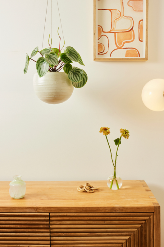 Spherical Hanging Planter
Creamy White Speckle
by Angus & Celeste hanging above a credenza with a potted watermelon pepperomia