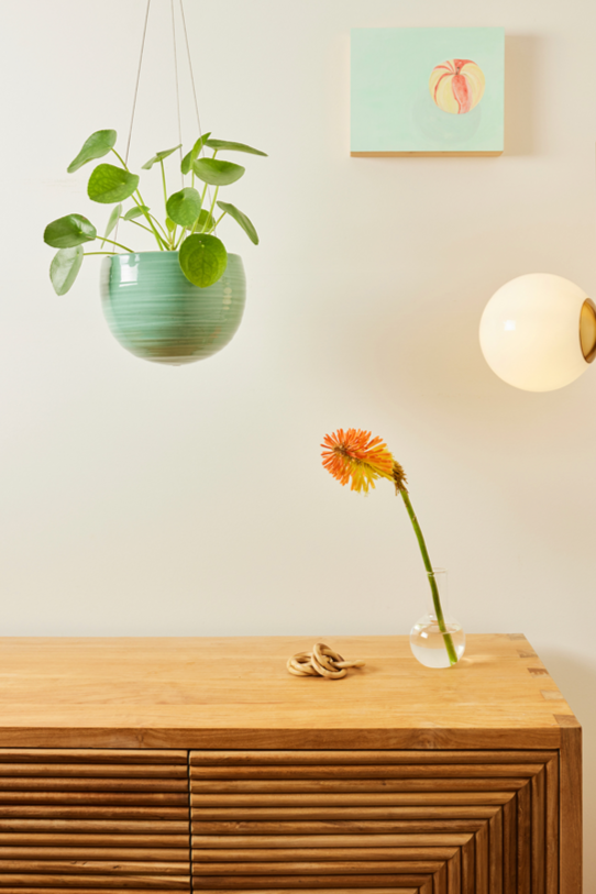 Spherical Hanging Planter
Celadon Green Crackle
hanging above a wooden credenza with a Pilea plant potted inside the pot. 