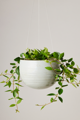 Spherical Hanging Planter
Grey Crackle by Angus & Celeste with a potted plant inside.