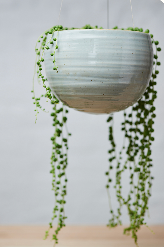 Spherical Hanging Planter
Grey Crackle by Angus & Celeste potted with a string of pearls plant 